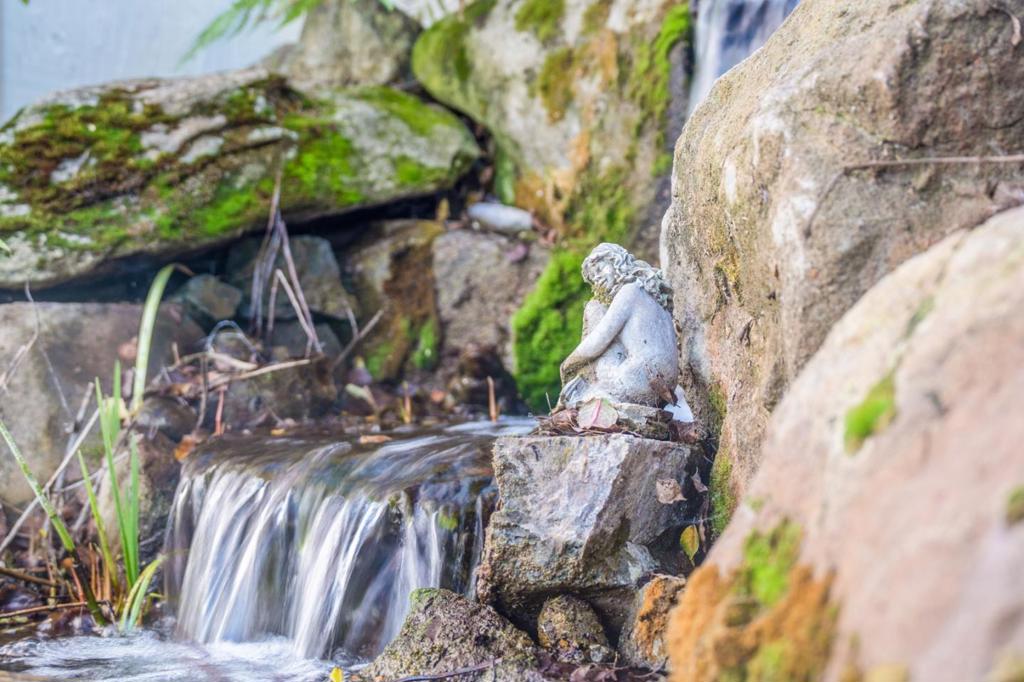 12170 Calle Uvas Property Photo 41