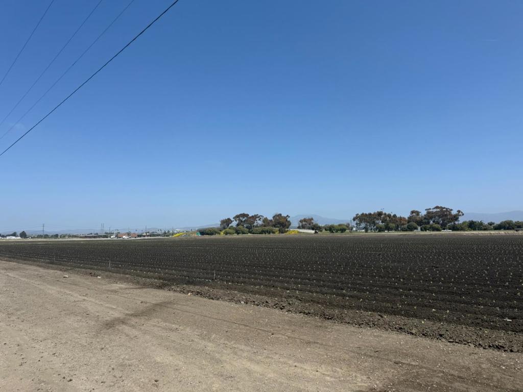 1202 Castroville Road Property Photo 4