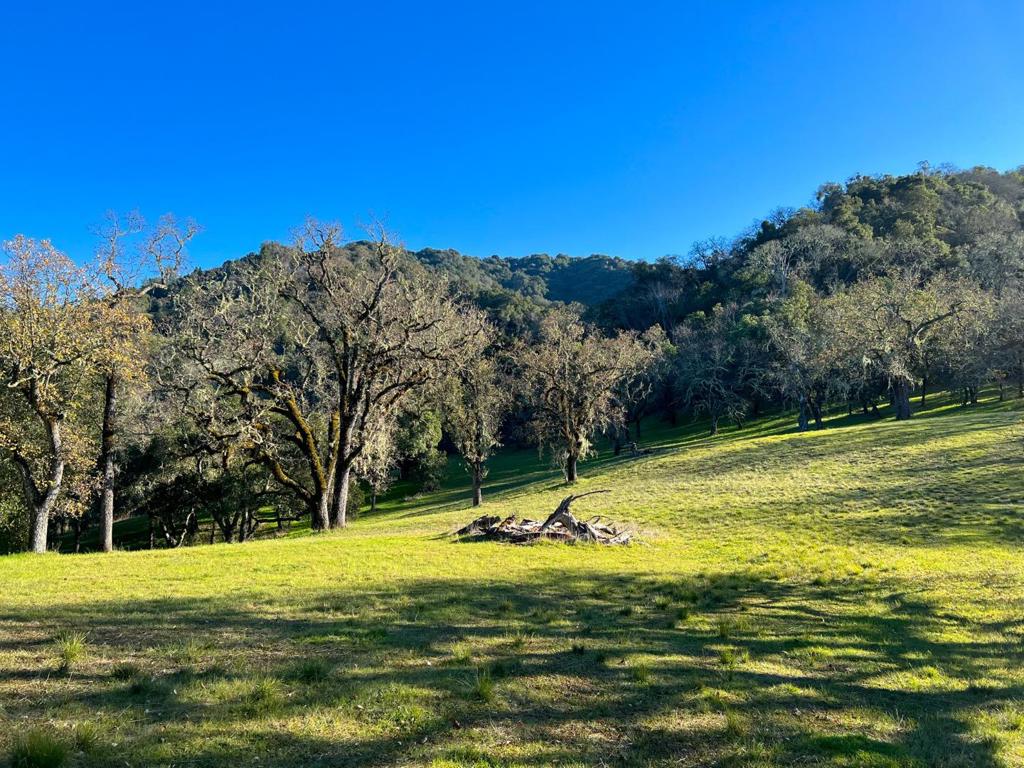 22 Arroyo Sequoia Property Photo 1