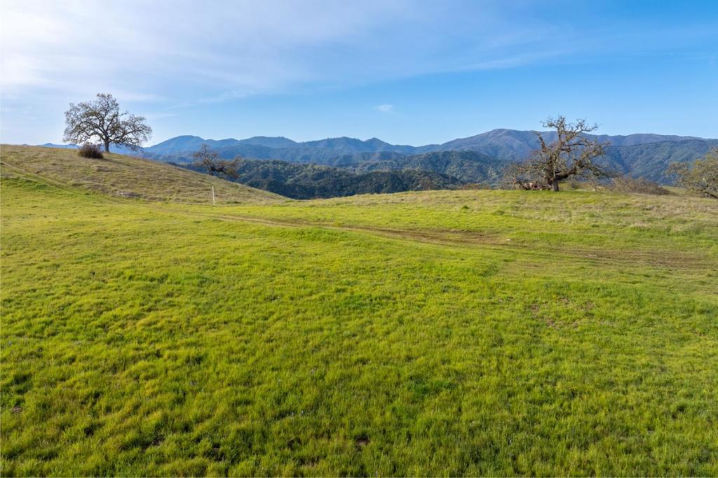 24 Vasquez Trail (lot 254) Property Photo 7