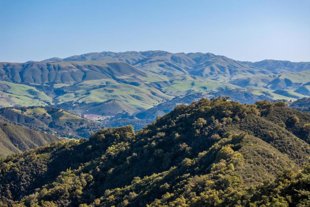 7 Long Ridge Trail (Lot 228) Property Photo 1