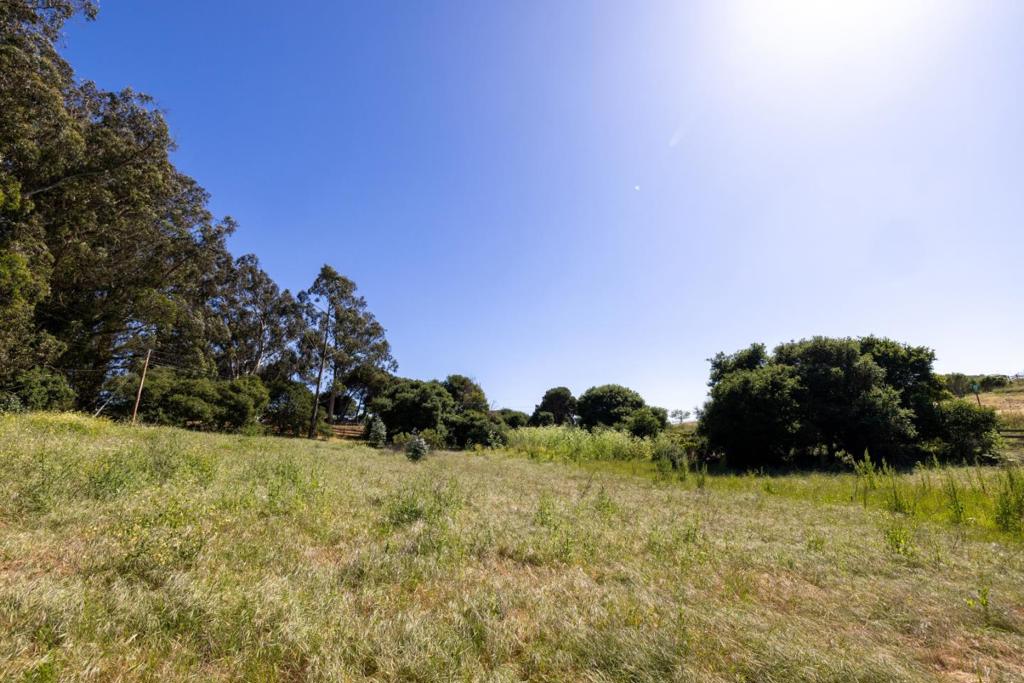 0 Del Monte Farms Road Property Photo 2
