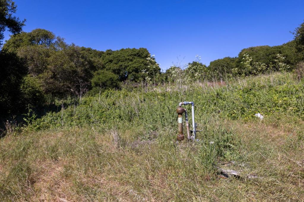 0 Del Monte Farms Road Property Photo 3