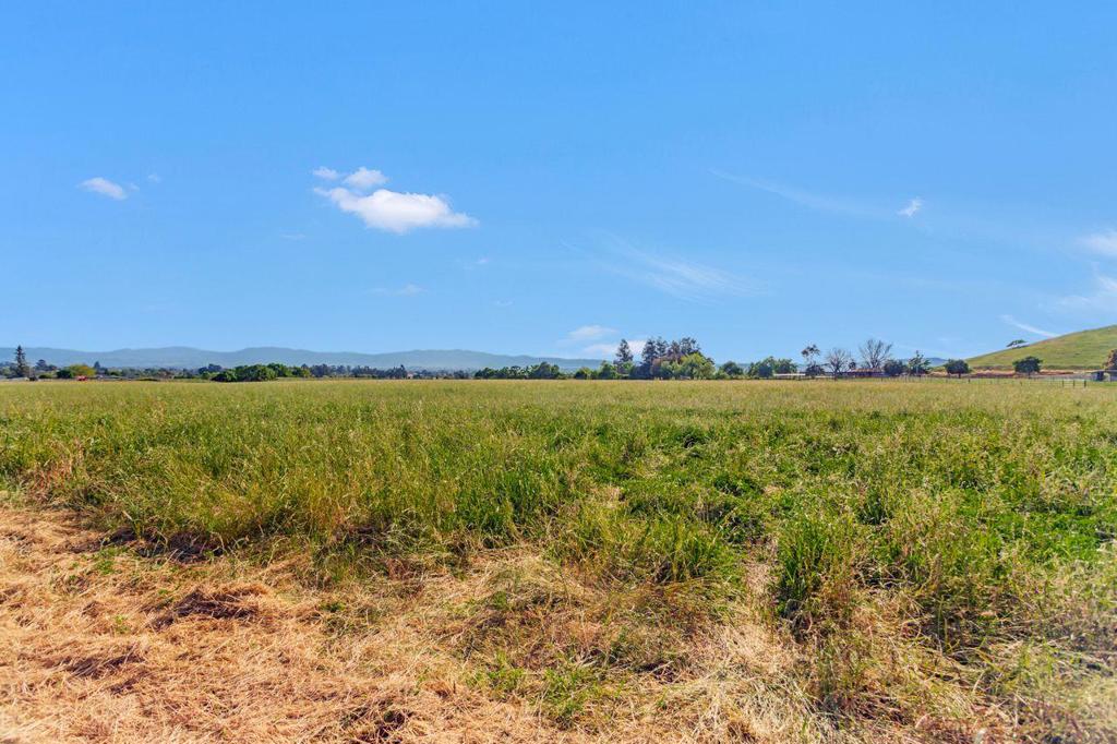 0 Lot #3 Bluff Drive Property Photo 4