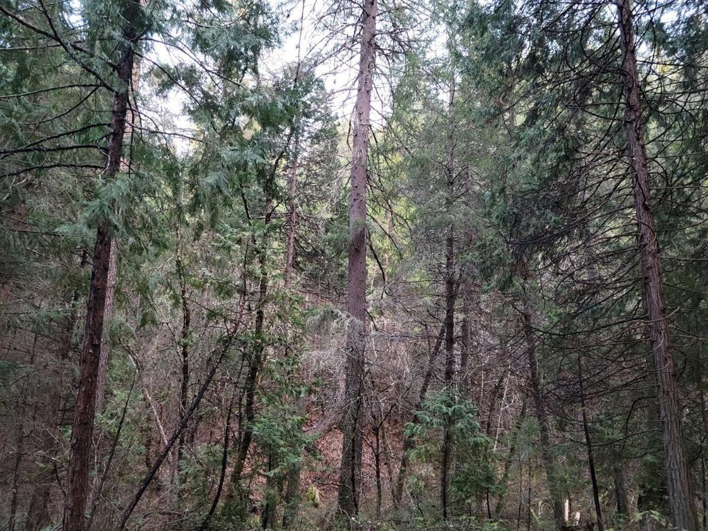 3179 Independence Road Property Photo 2