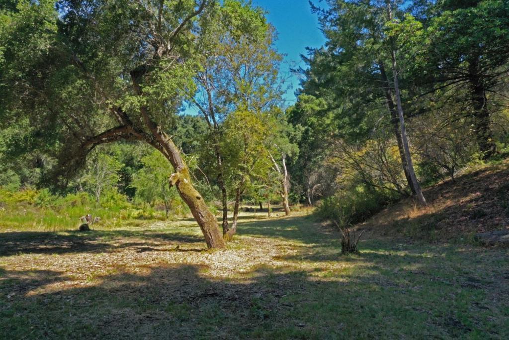 0 Coffeeberry Property Photo 1