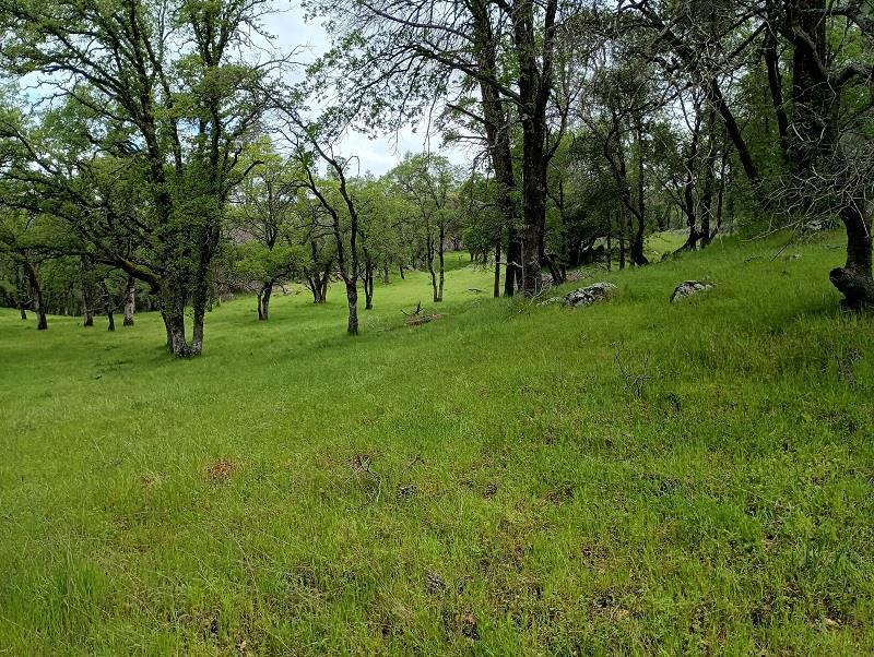 1119 Montauk Vista Property Photo 2
