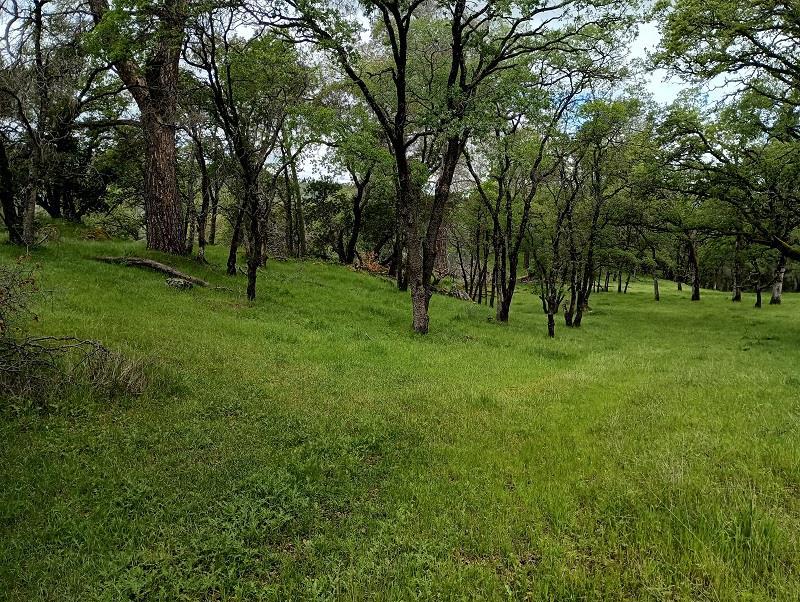 1119 Montauk Vista Property Photo 3