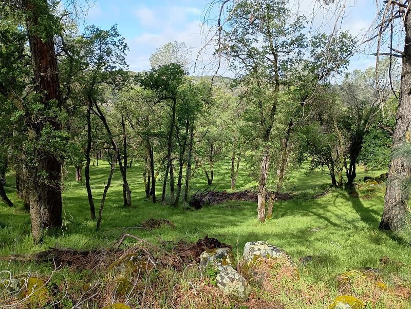 1119 Montauk Vista Property Photo 9