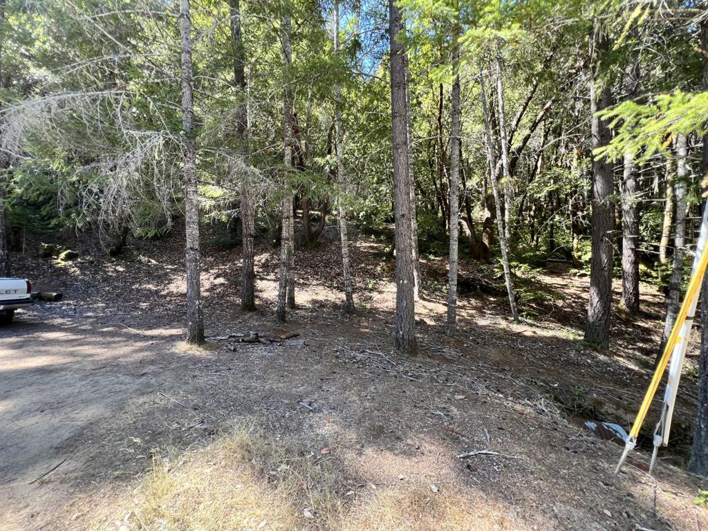 24858 Clover Road Property Photo 1