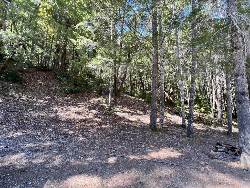 24858 Clover Road Property Photo 1