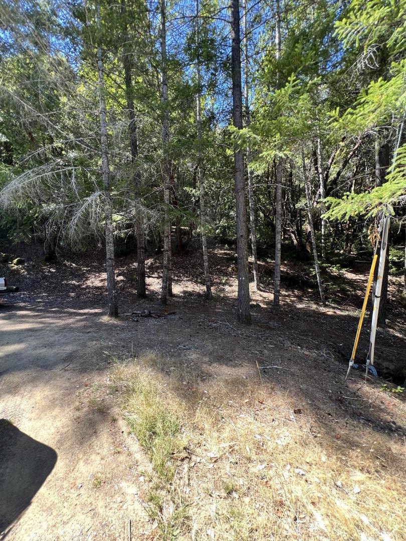 24858 Clover Road Property Photo 3