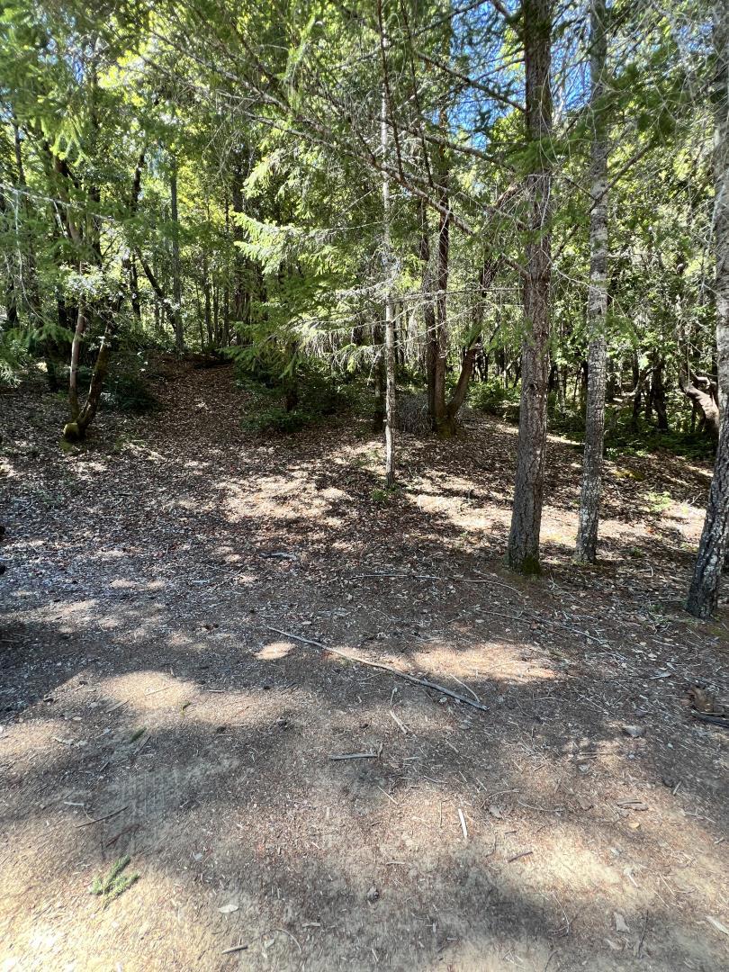 24858 Clover Road Property Photo 4