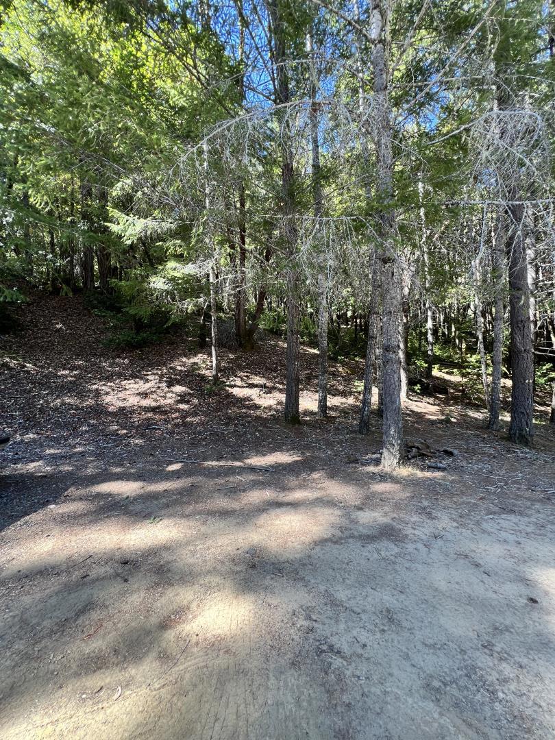 24858 Clover Road Property Photo 6