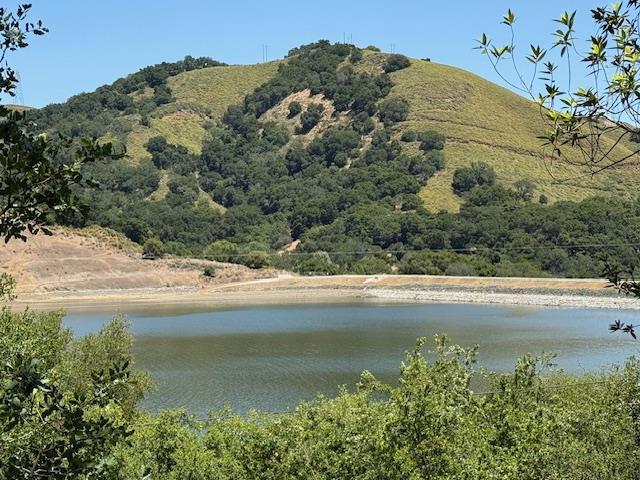 14056 Uvas Road Property Photo 1