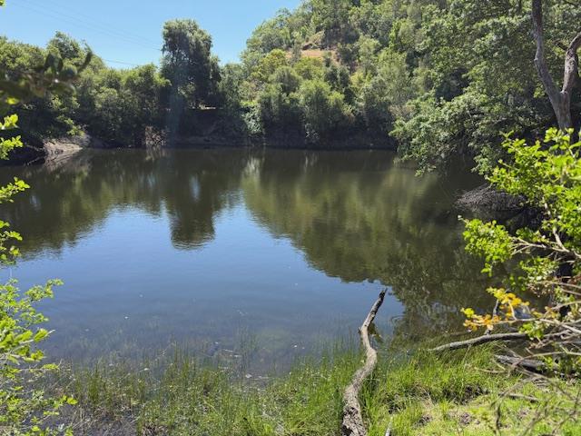 14056 Uvas Road Property Photo 3