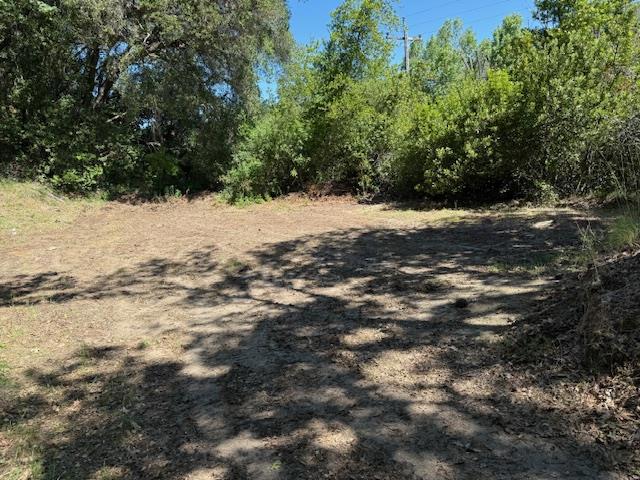 14056 Uvas Road Property Photo 5
