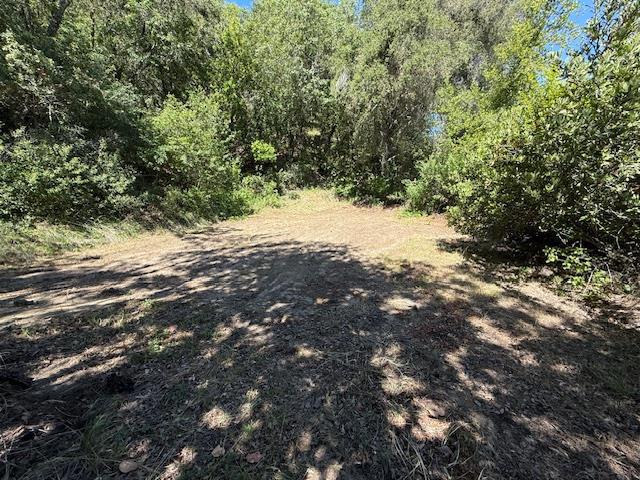 14056 Uvas Road Property Photo 6