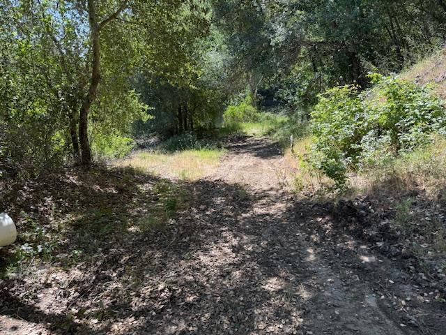 14056 Uvas Road Property Photo 11