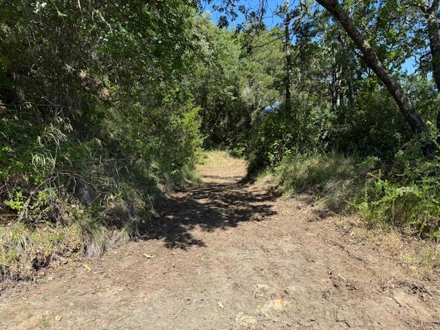 14056 Uvas Road Property Photo 14