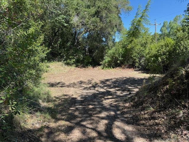 14056 Uvas Road Property Photo 17