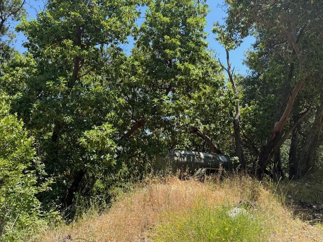 14056 Uvas Road Property Photo 18