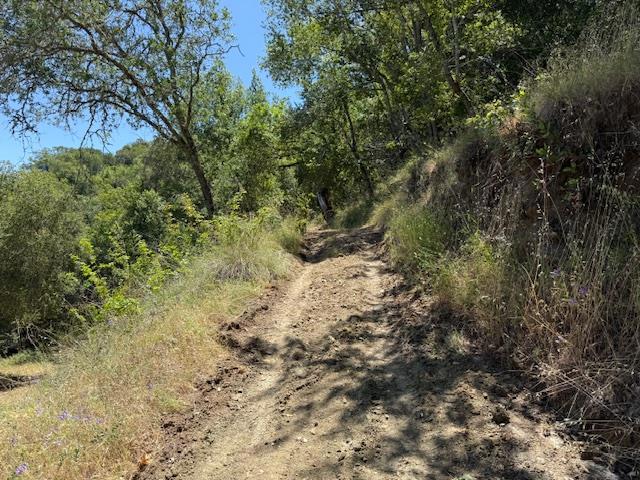 14056 Uvas Road Property Photo 21