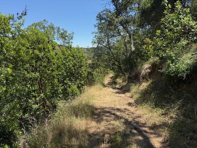 14056 Uvas Road Property Photo 23