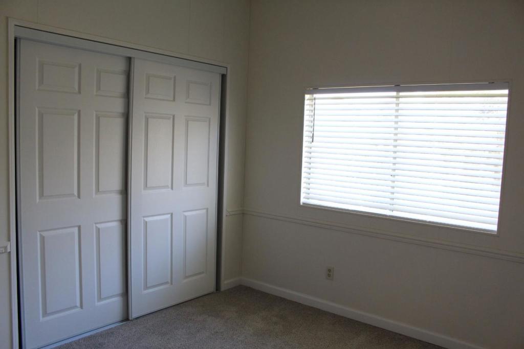 Hall Road Property Photo 35