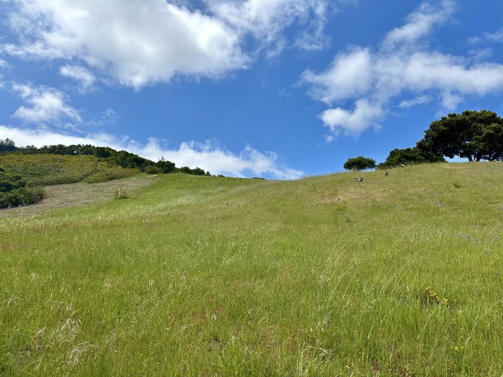29 Potrero Trail Property Photo 10