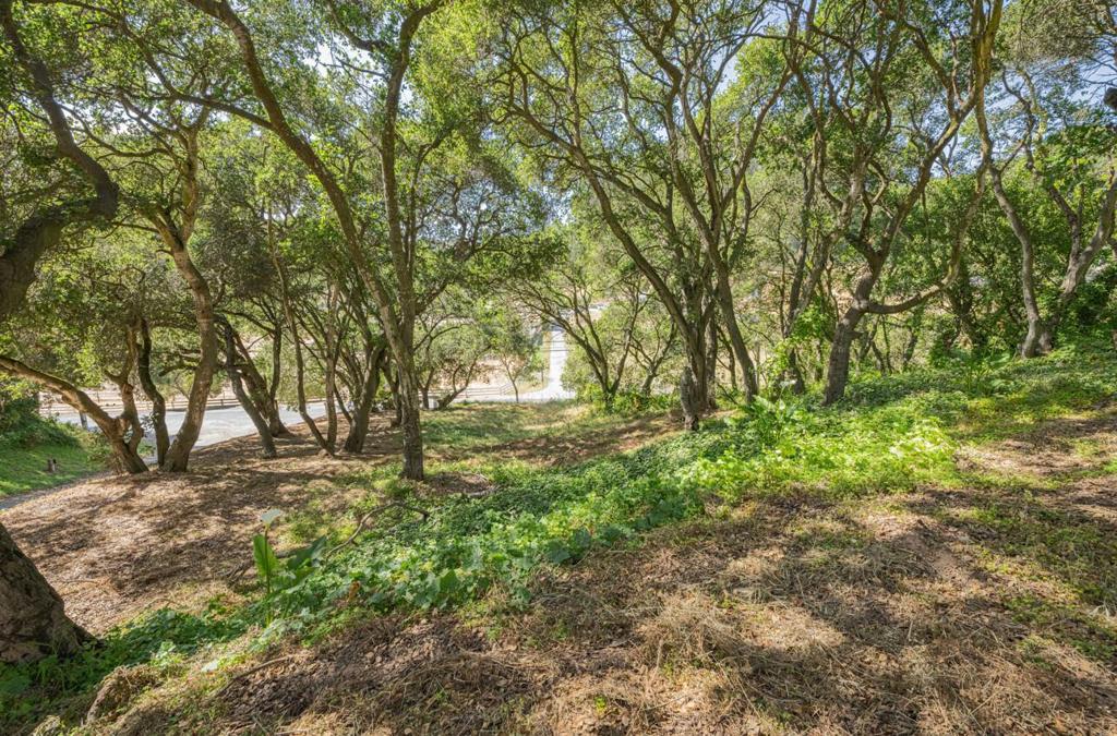 18105 Wylie Hill Lane Property Photo 21