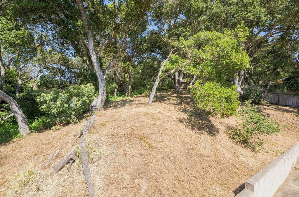 18105 Wylie Hill Lane Property Photo 22