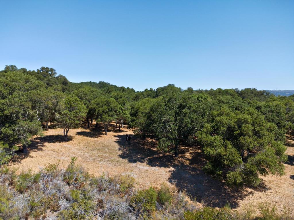 4 Holding Field Run Property Photo 1