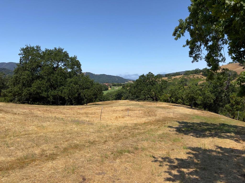 23 E Pronghorn Run Property Photo 11