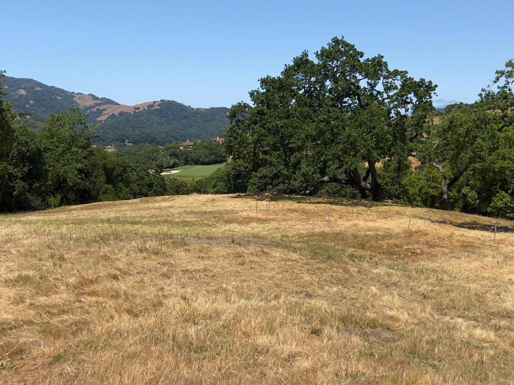 23 E Pronghorn Run Property Photo 13