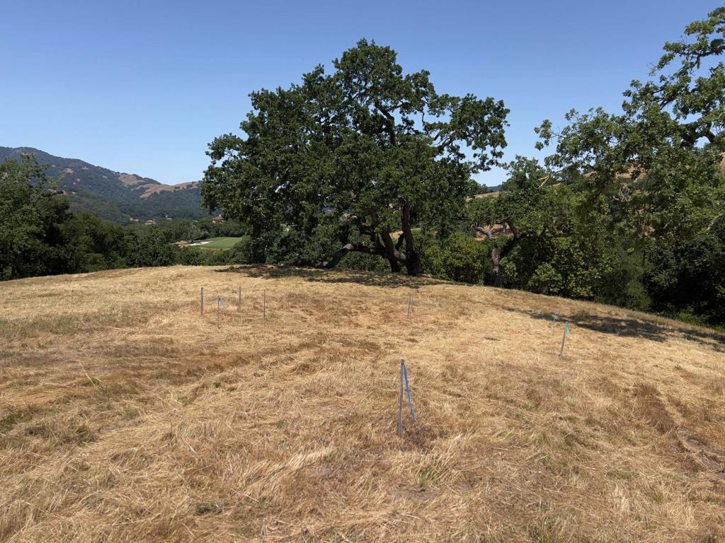 23 E Pronghorn Run Property Photo 14