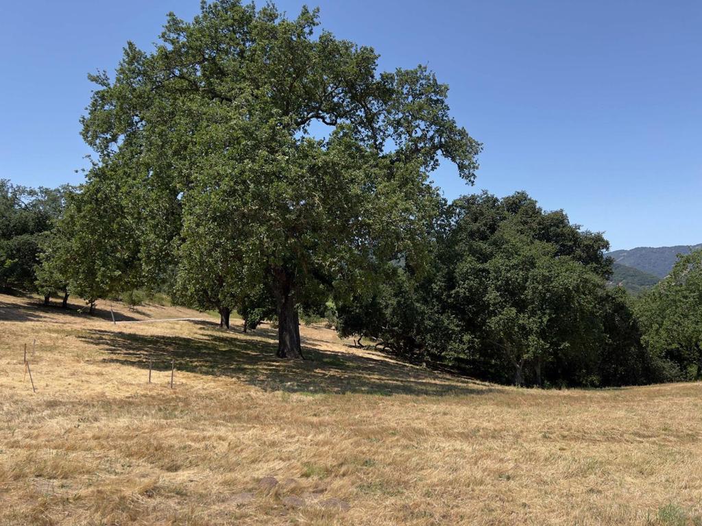 23 E Pronghorn Run Property Photo 15