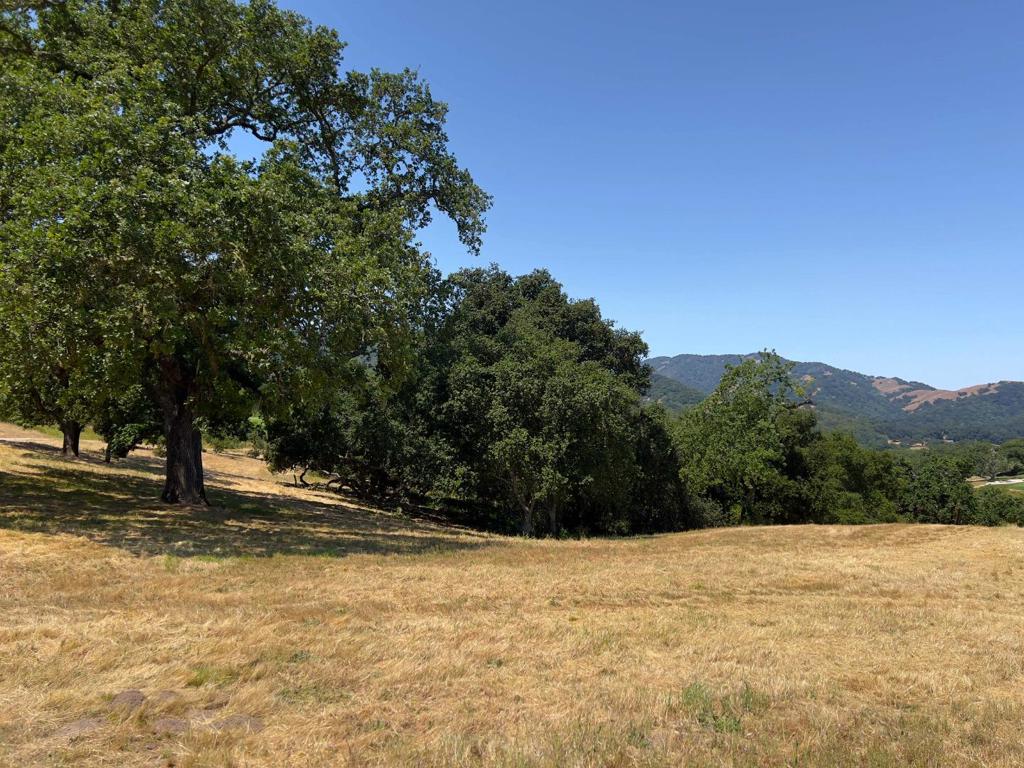 23 E Pronghorn Run Property Photo 16