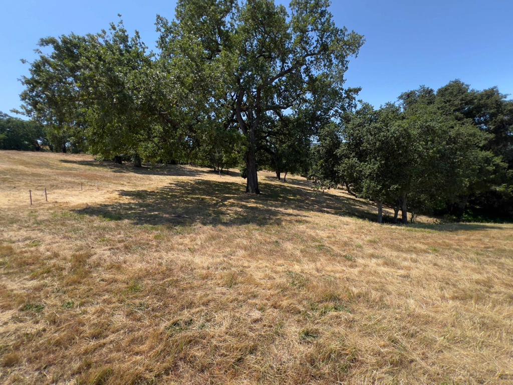 23 E Pronghorn Run Property Photo 19