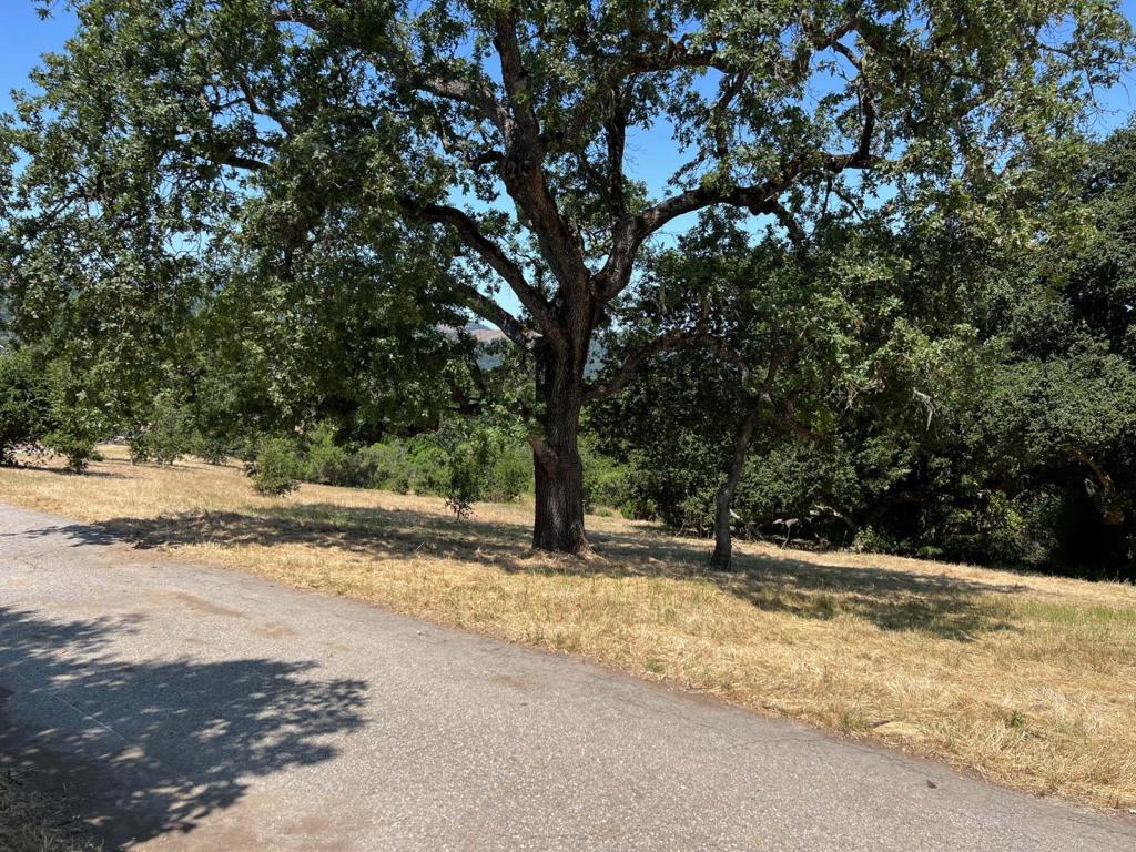 23 E Pronghorn Run Property Photo 23