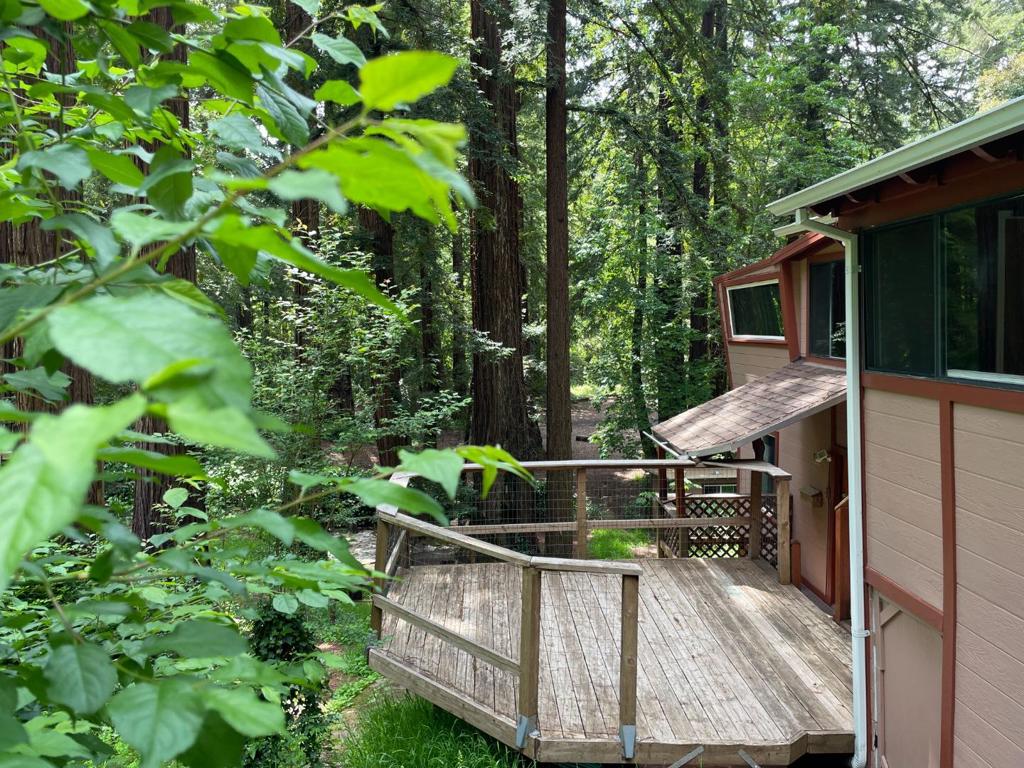 35 Sequoia Drive Property Photo 18
