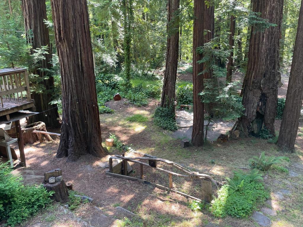 35 Sequoia Drive Property Photo 54