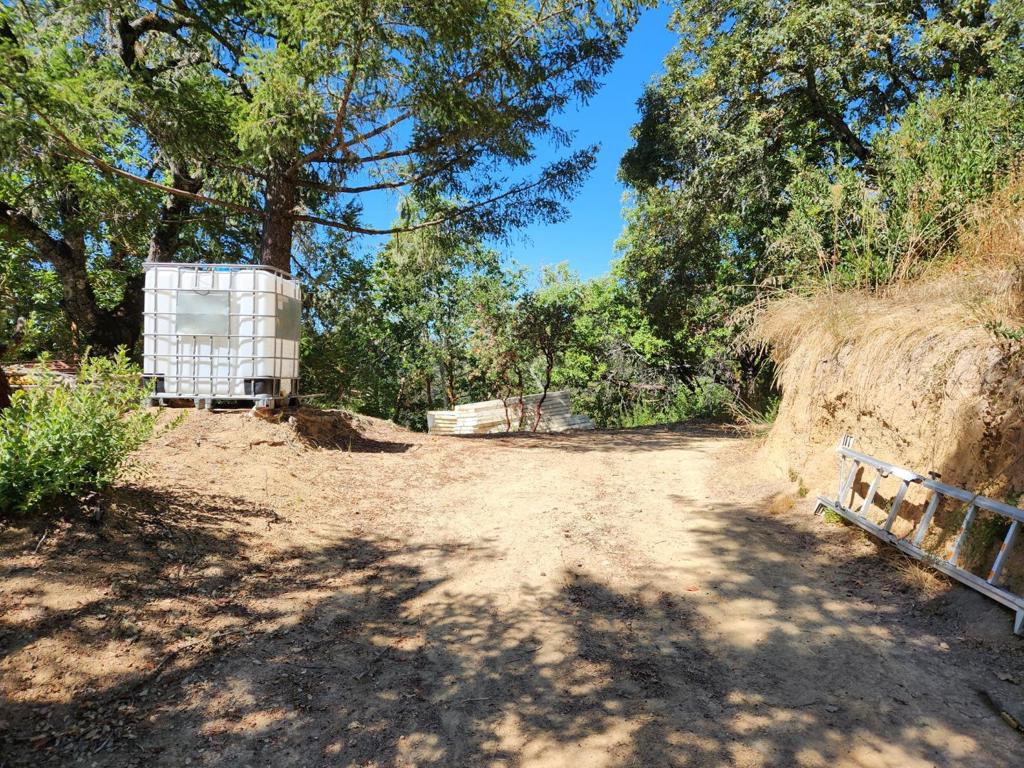 0 Conley Creek Property Photo 1