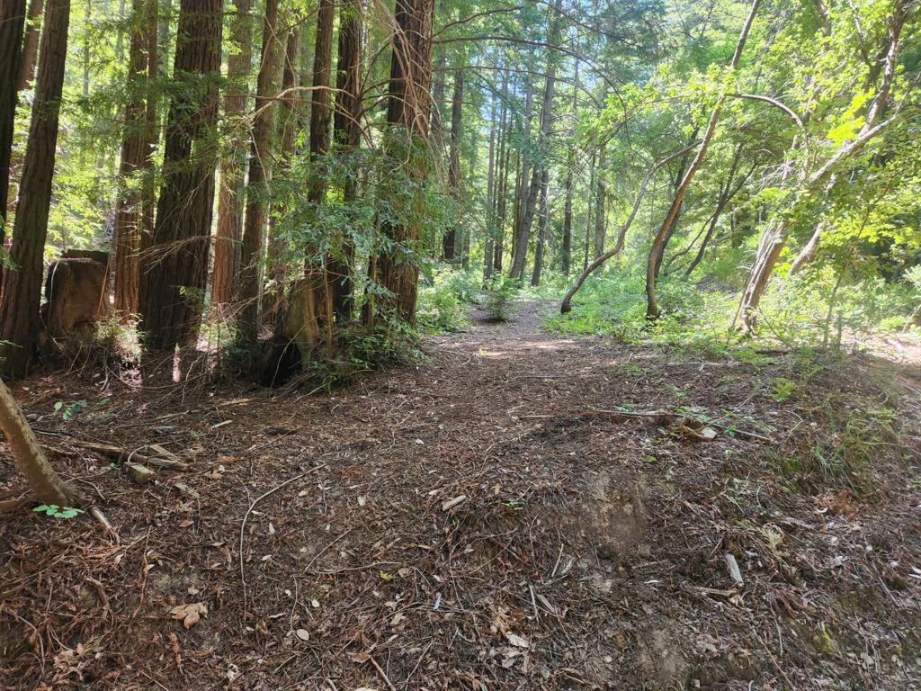 0 Lost Valley Property Photo 1