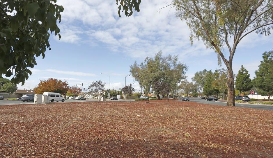 2123 Quimby Road Property Photo 6