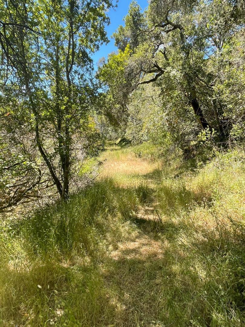 0 Crystal Springs Rd Property Photo 1