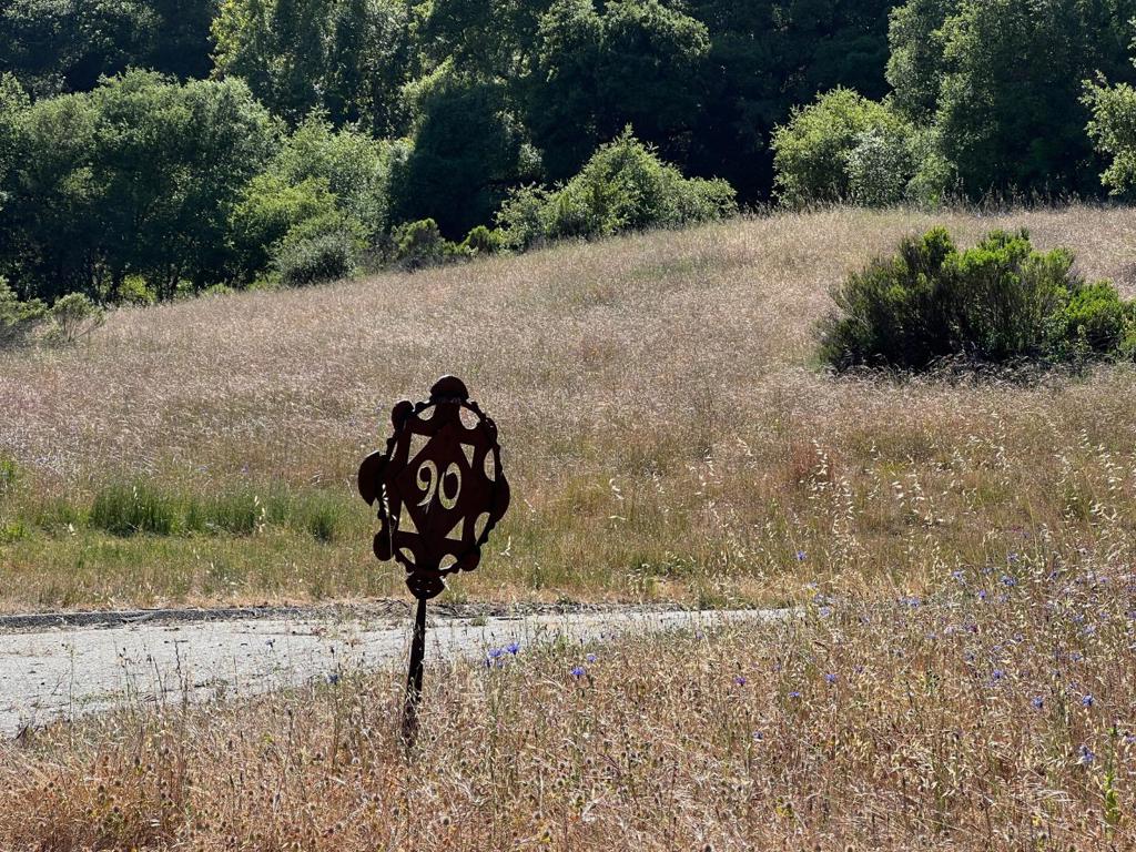 6 Arroyo Sequoia Property Photo 3