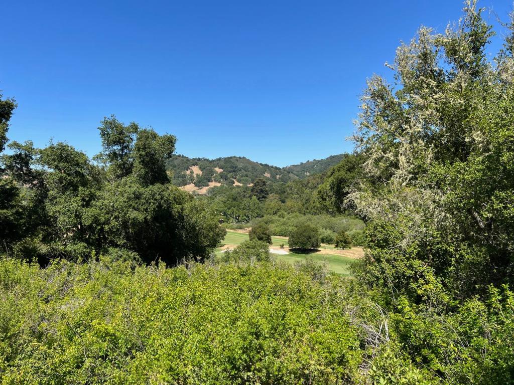 6 Arroyo Sequoia Property Photo 4