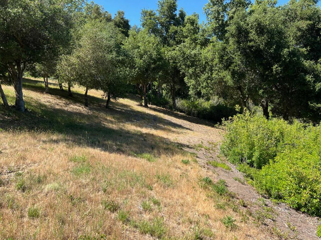 6 Arroyo Sequoia Property Photo 5