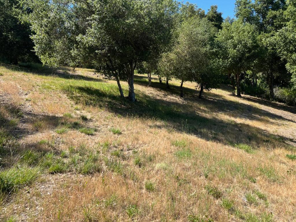 6 Arroyo Sequoia Property Photo 6